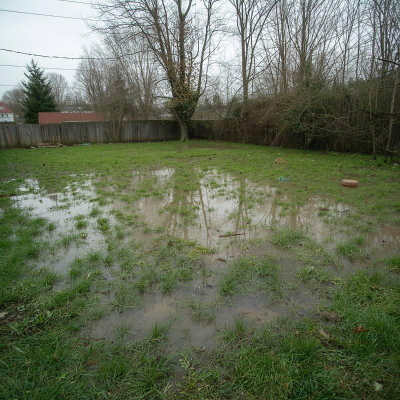 Signs your septic tank needs pumping